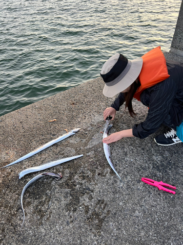 タチウオの釣果