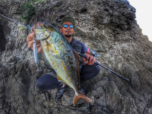 ショゴの釣果