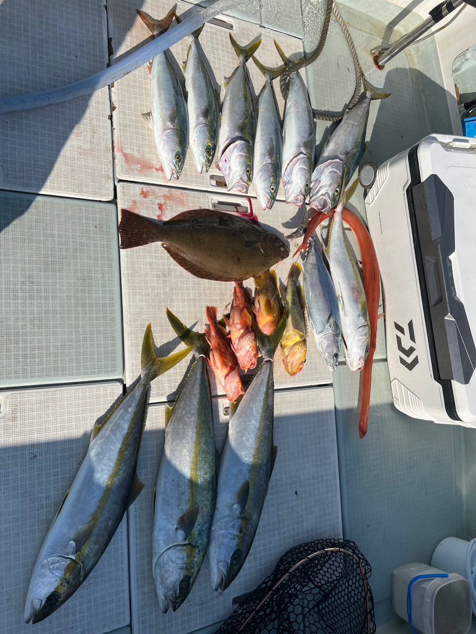 遊漁船たかくらさんの釣果 1枚目の画像