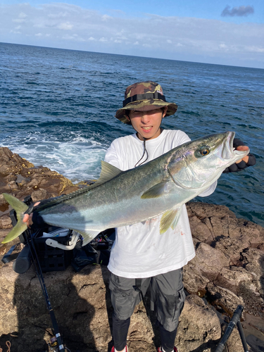 ヒラマサの釣果