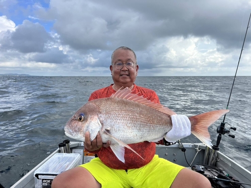 マダイの釣果