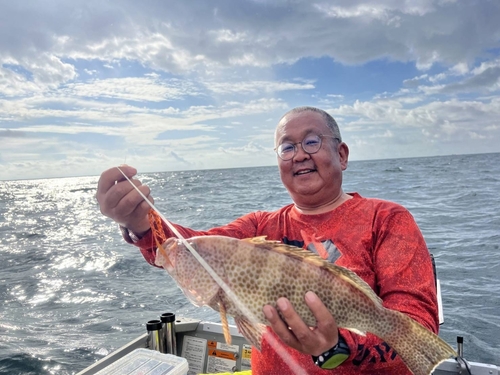 アオハタの釣果