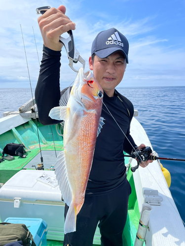 アマダイの釣果