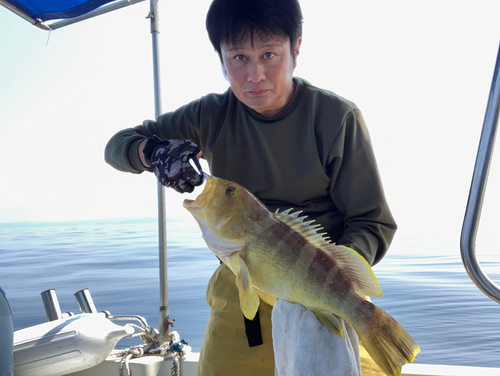 アオナの釣果