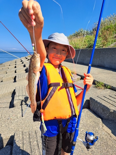 ハゼの釣果