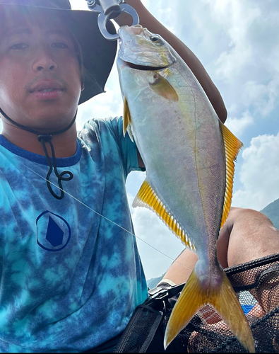 ショゴの釣果