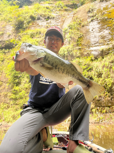 ブラックバスの釣果