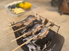 イワナの釣果