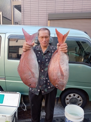 マダイの釣果