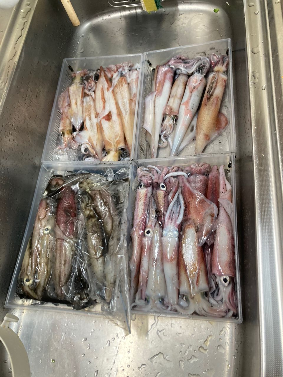 トキさんさんの釣果 2枚目の画像