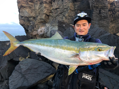 ヤズの釣果