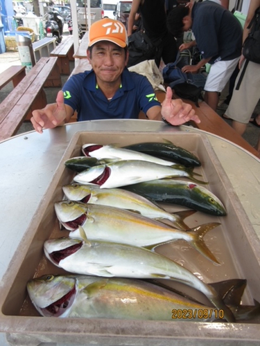 ショゴの釣果