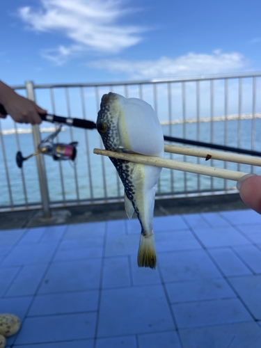 釣果