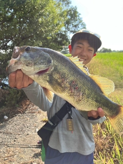 ラージマウスバスの釣果