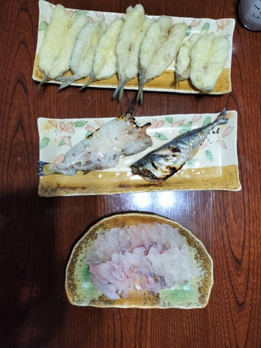 釣果