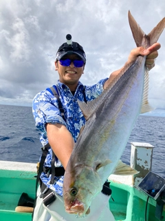 カンパチの釣果