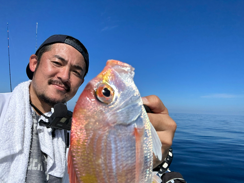 レンコダイの釣果