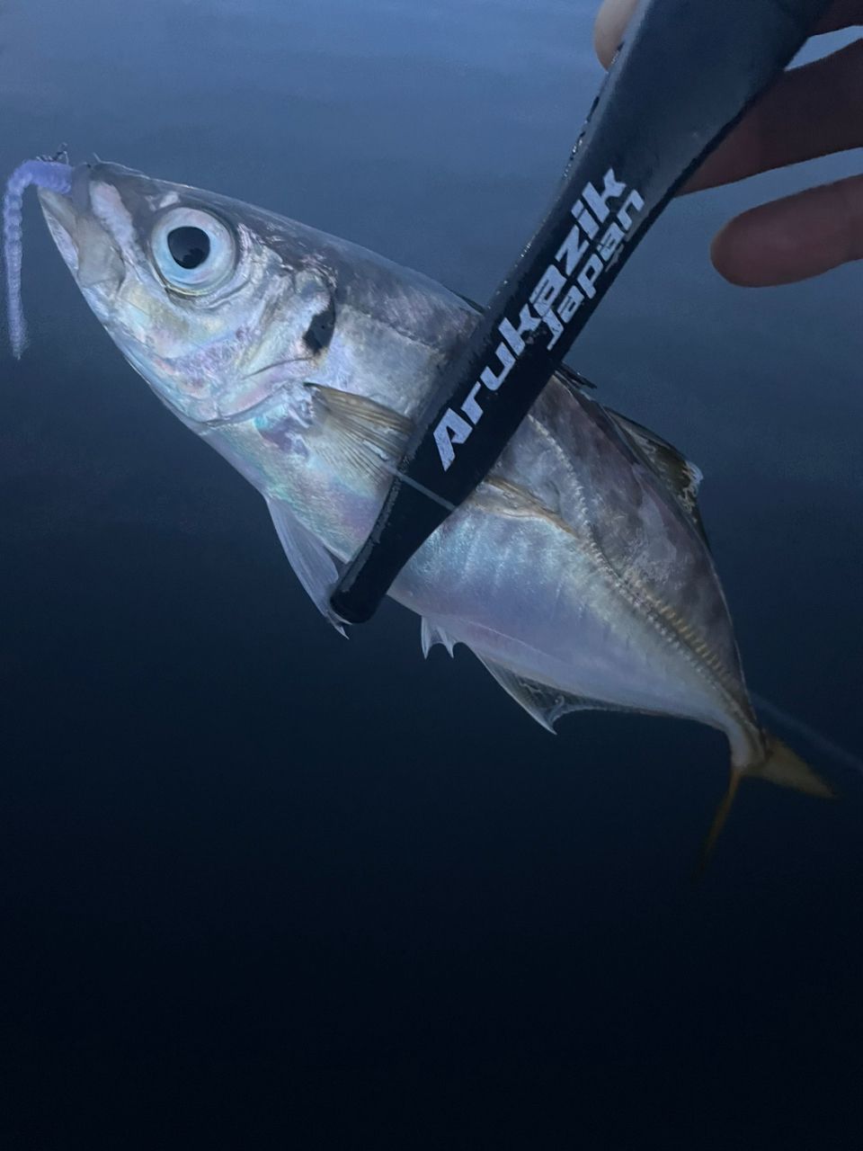 アジ