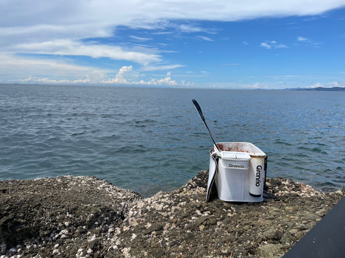 Ryo.Yさんの釣果 2枚目の画像