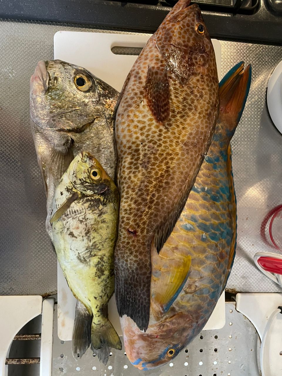 Ryo.Yさんの釣果 3枚目の画像