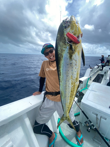 シイラの釣果