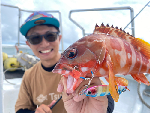 アカハタの釣果