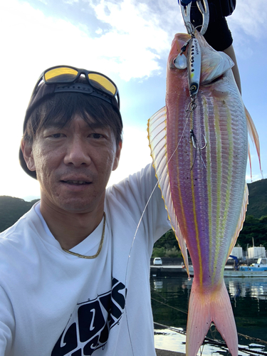 イトヨリダイの釣果