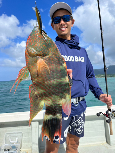 ミツバモチノウオの釣果