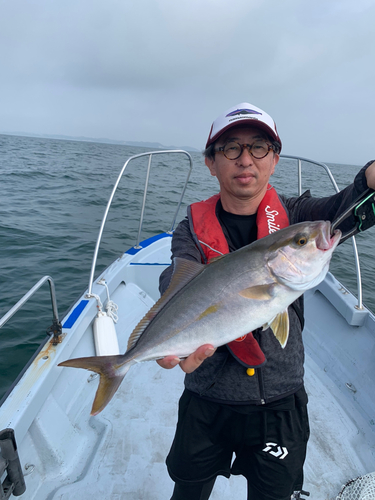 カンパチの釣果