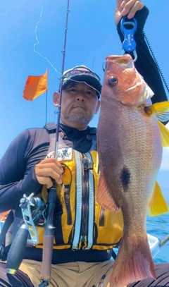 クロホシフエダイの釣果