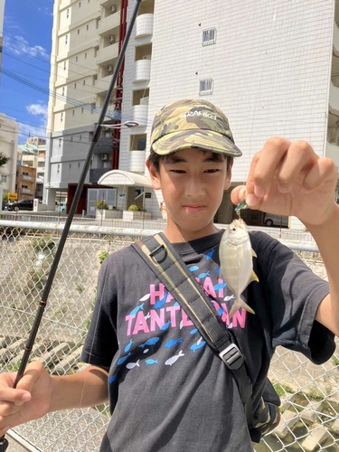 オニヒラアジの釣果