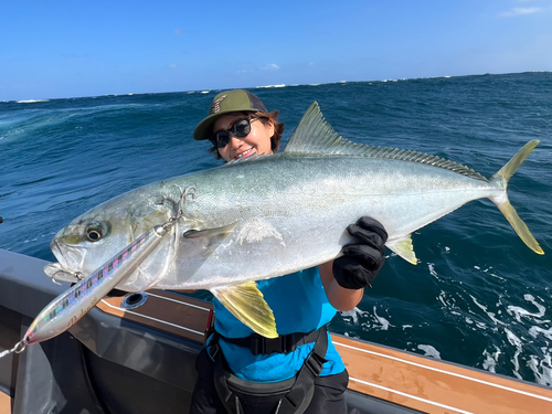 ヒラマサの釣果