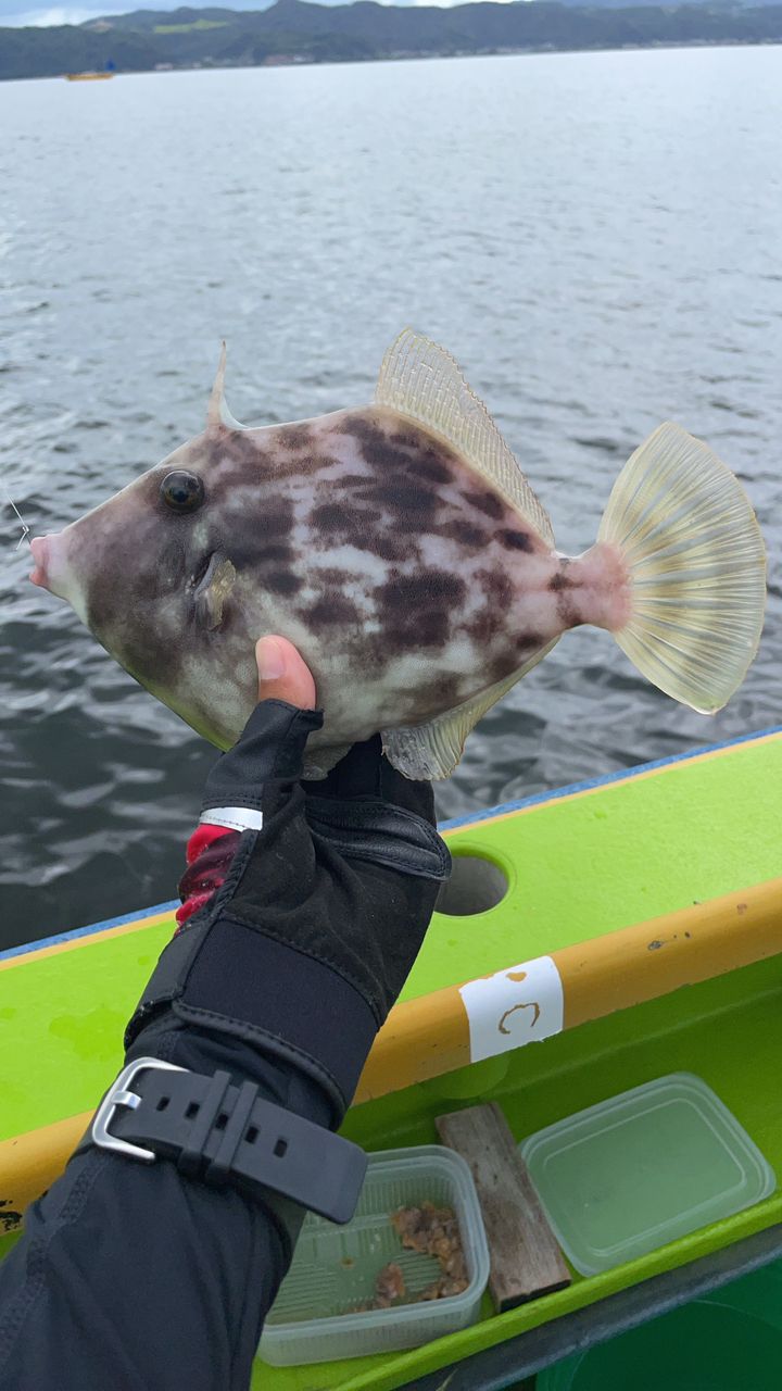 みゆ✨さんの釣果 2枚目の画像