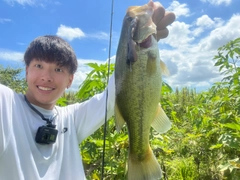 ブラックバスの釣果