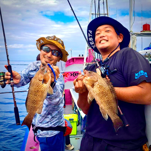 オオモンハタの釣果