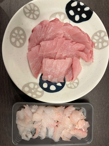 釣果