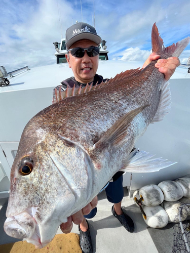 タイの釣果