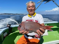 マダイの釣果