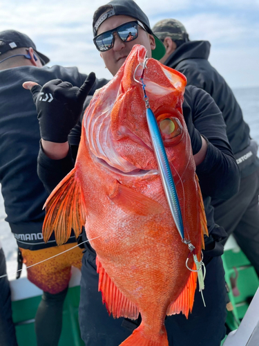 チカメキントキの釣果