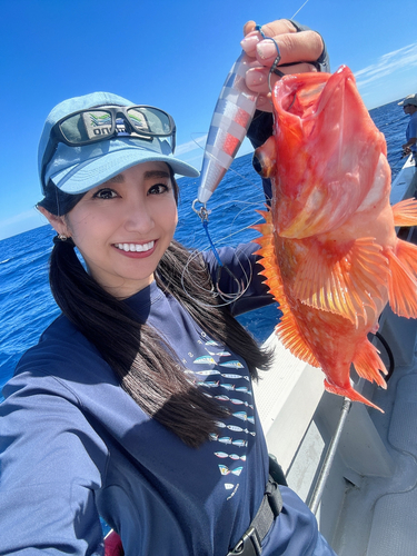 ウッカリカサゴの釣果