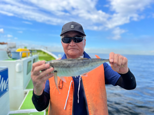 マアジの釣果