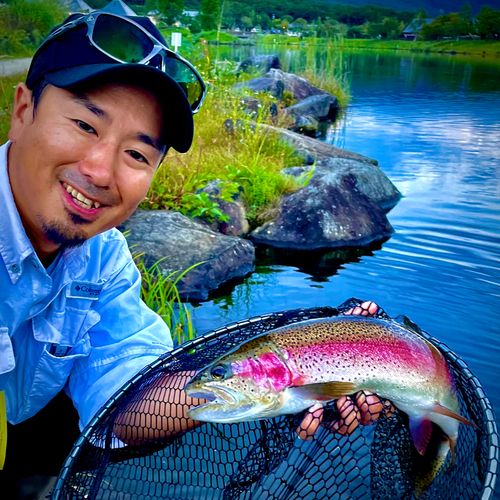 ニジマスの釣果