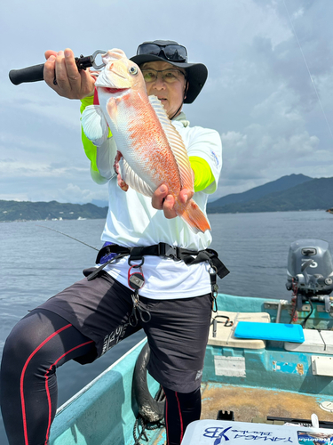 シロアマダイの釣果