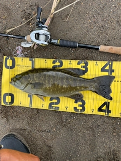 スモールマウスバスの釣果