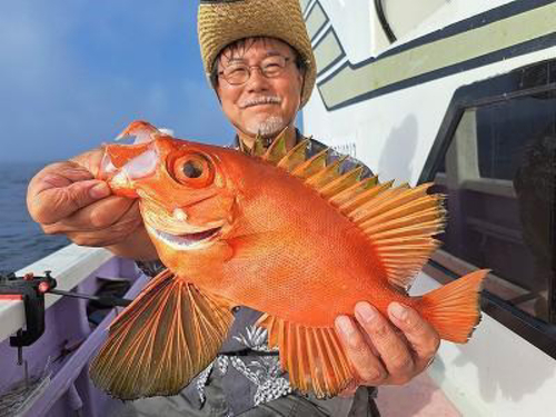 キントキダイの釣果