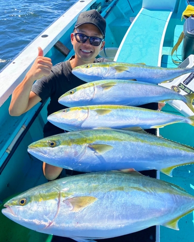 ワラサの釣果