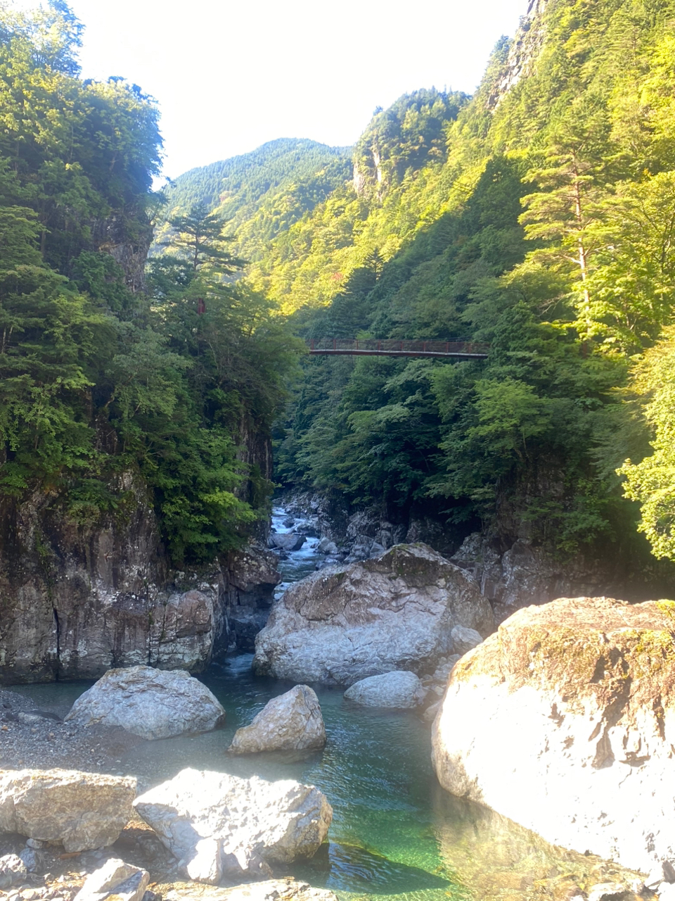 イワナ