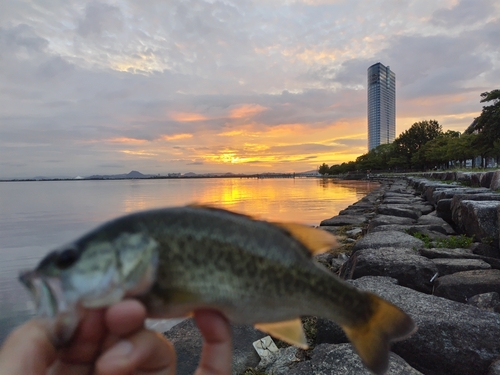 釣果