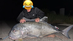 ロウニンアジの釣果