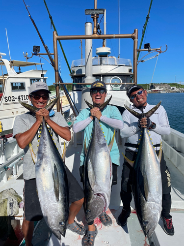 キハダマグロの釣果